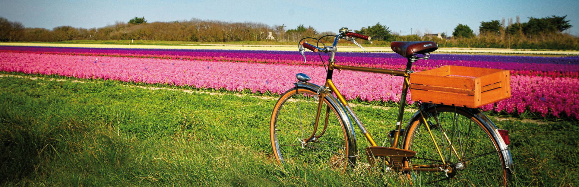 Fête des fleurs, Plomeur© Cycles Vintage