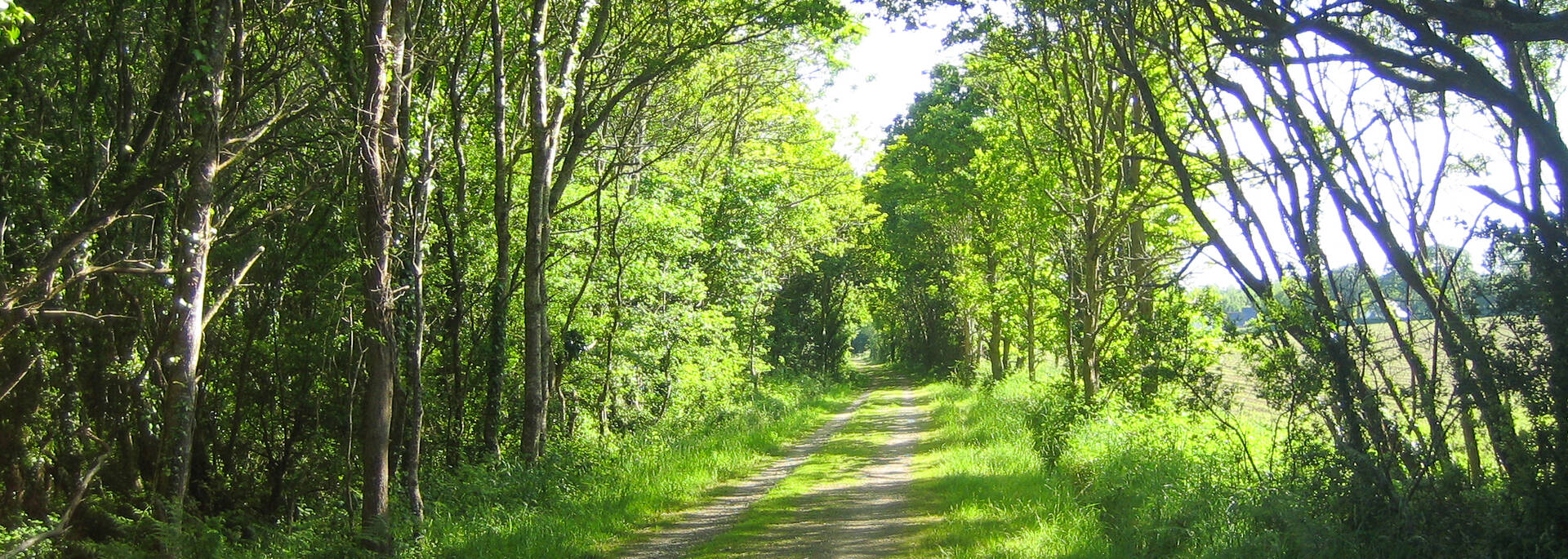 Faire une promenade à l'ombre, à pied ou à vélo, le long de la voie verte © E Cléret