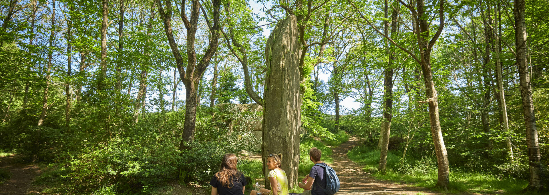 Menhirs Lespurit Ellen à Plovan en Pays Bigouden © Alexandre Lamoureux