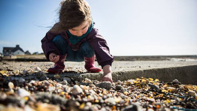 A la recherche du plus beau des coquillages, Penmarc'h ©Y.Derennes