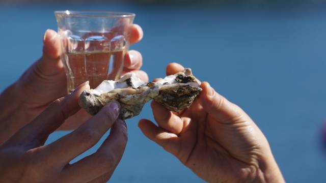 Tchin tchin à Sainte-Marine, ©E.Cléret