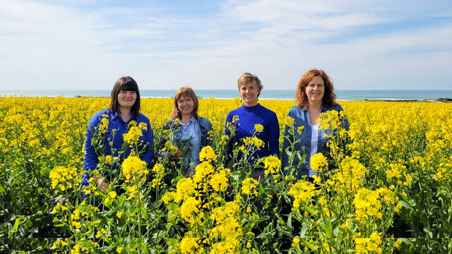 Equipe de l'Office de Tourisme du Haut Pays Bigouden - © Marine Guéguen