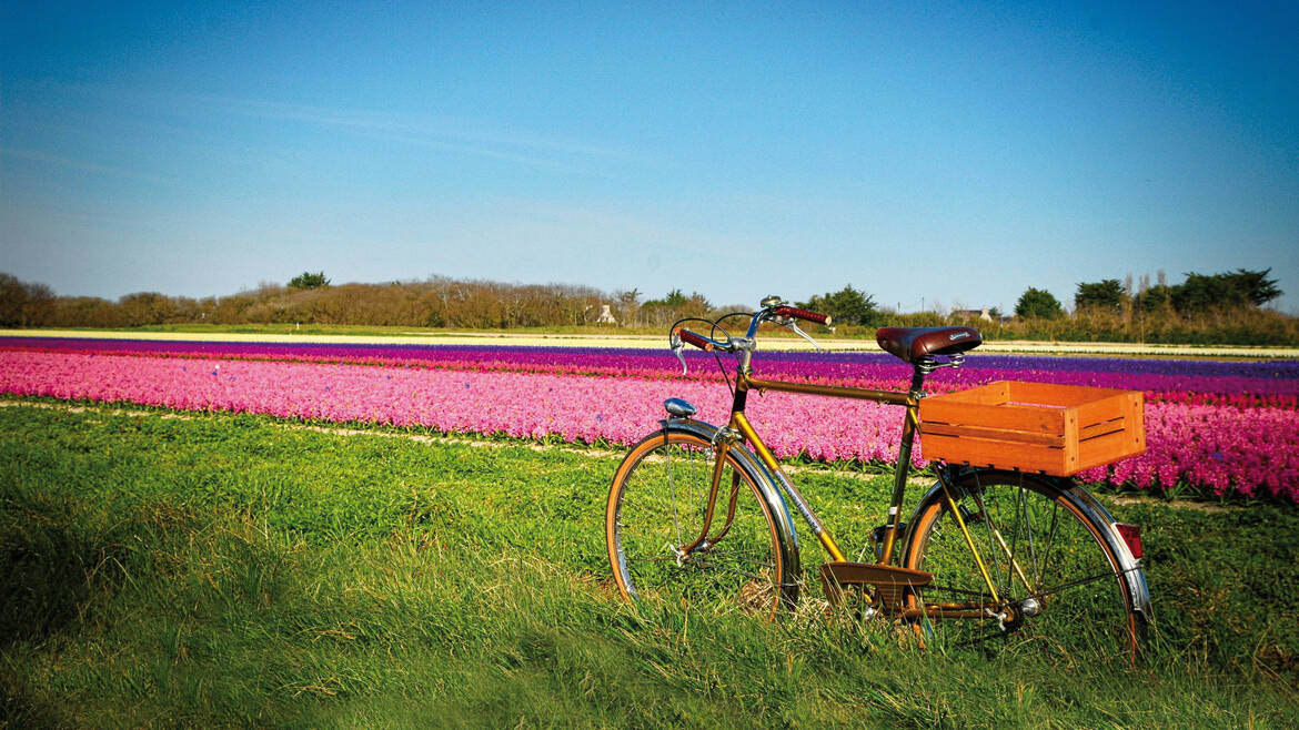 Fête des fleurs, Plomeur© Cycles Vintage