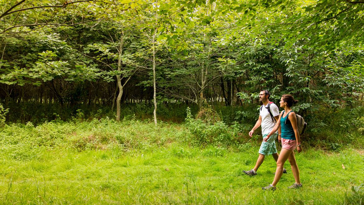 Parcourir la nature en amoureux en Pays Bigouden @ Y Derennes