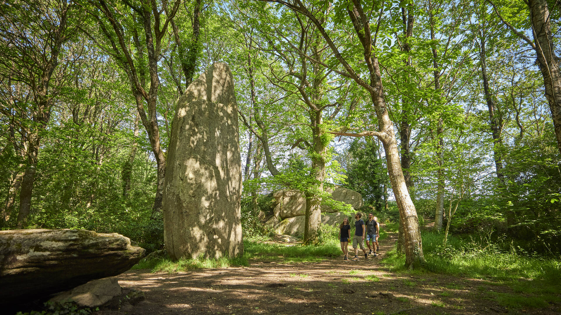 Menhirs de Lespurit Ellen à Plovan - Pays bigouden © A Lamoureux