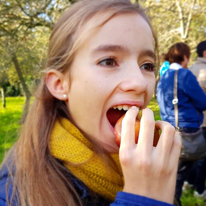 Im Obstgarten der Cidrerie Kerné im Pays Bigouden © E Cléret