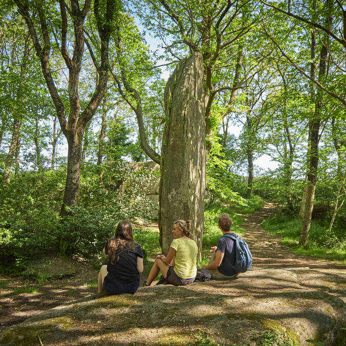 Menhirs de Lespurit Ellen à Plovan en Pays Bigouden ©A.Lamoureux