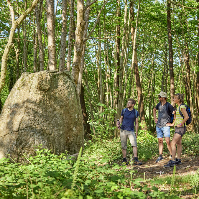 Circuit de randonnée Saint Kodelig à Pouldreuzic en Pays Bigouden ©A.Lamoureux