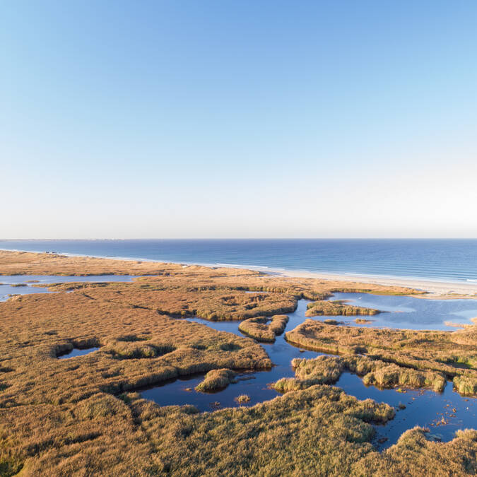 Les zones humides à Tréogat en Baie d'Audierne au Pays Bigouden ©Gwenn Ha Drone