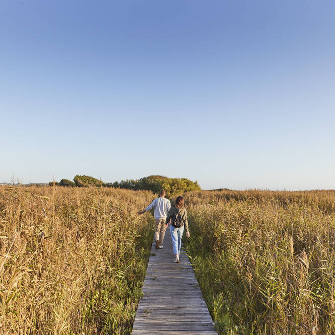 La passerelle dans les roselières à Tréogat en Baie d'Audierne au Pays Bigouden ©A.Lamoureux