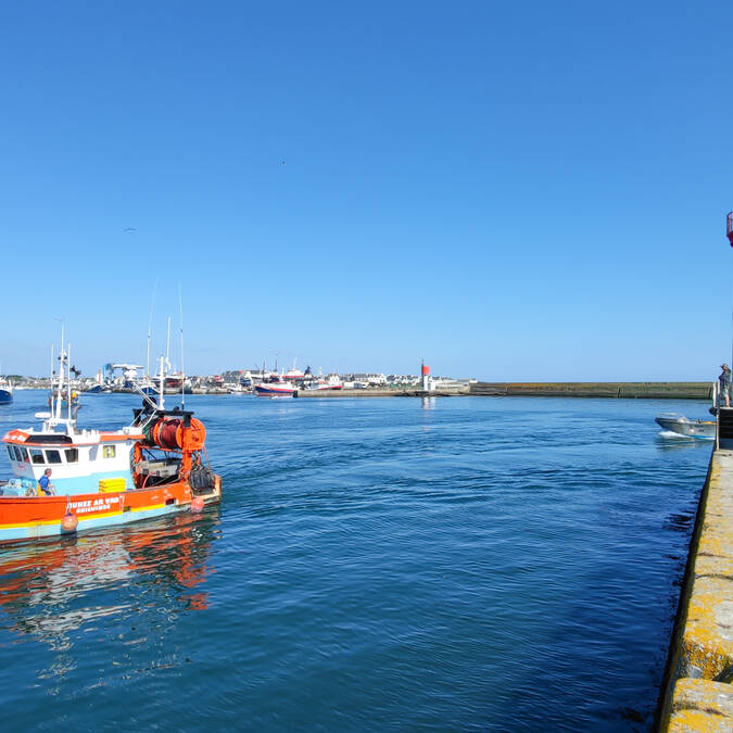 Port de pêche du Guilvinec © E Cléret